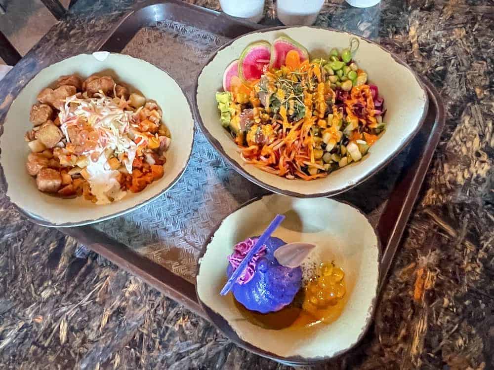 A colourful and exotic lunch from Satu'li Canteen Pandora, Animal Kingdom