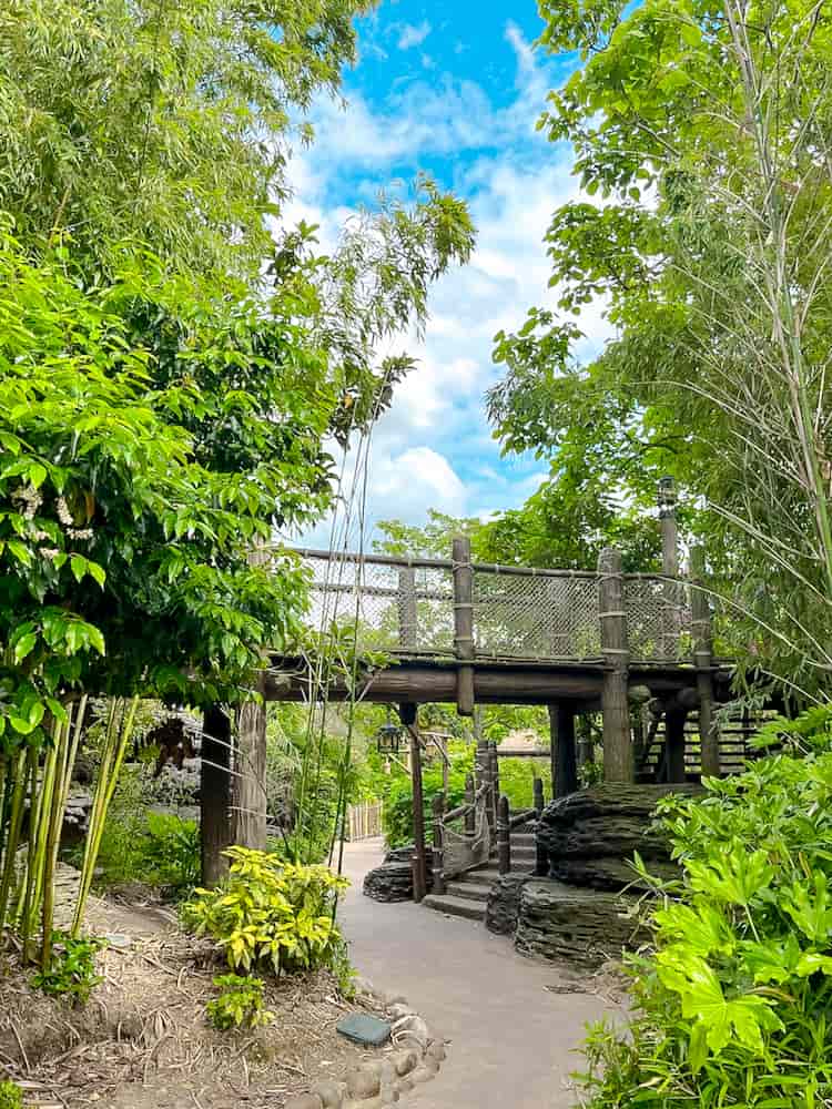 A green and lush landscape frames a suspended rope bridge in Adventureland. It's a tranquil part of your strategy for Extra Magic Time Disneyland Paris.