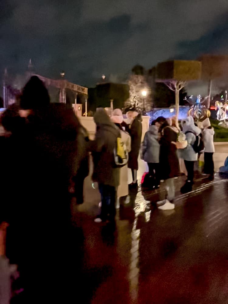 Standing crowd watching Disney Tales of Magic nighttime show at Disneyland Paris, just outside the Reserved Access area.