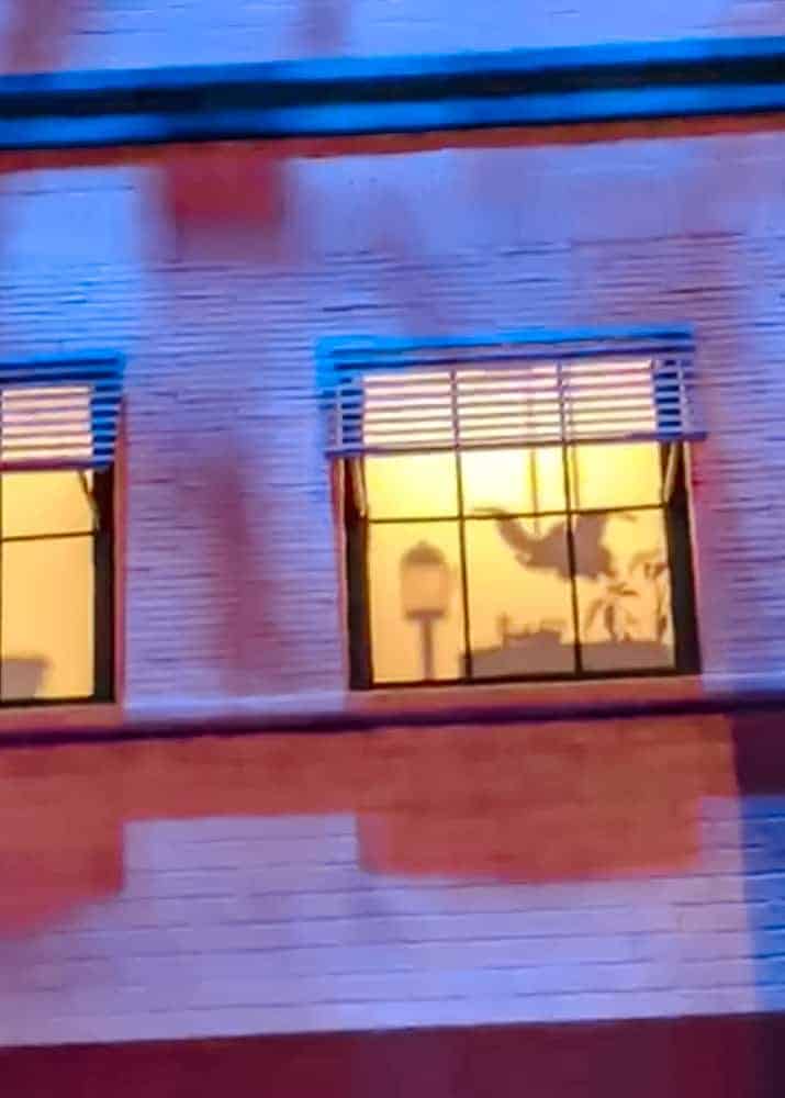 Close-up of twinkling window at World Premiere Disneyland Paris with character silhouettes and a view of the water tower in the distance.