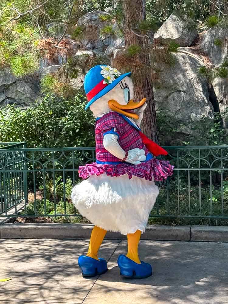 Daisy Duck in a rare 1920s-inspired flapper costume, posing for fans at Disney California Adventure.